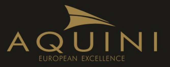 Aquini logo